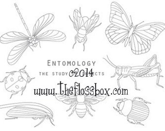 Entomology Embroidery Pattern