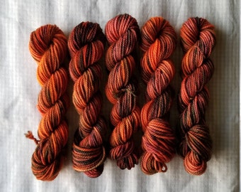 Rusty Bucket Super Minis OOAK - Hand dyed yarn - 80/20 Superwash Merino Nylon - Fingering weight - indie dyed yarn - speckled sock yarn 3ply