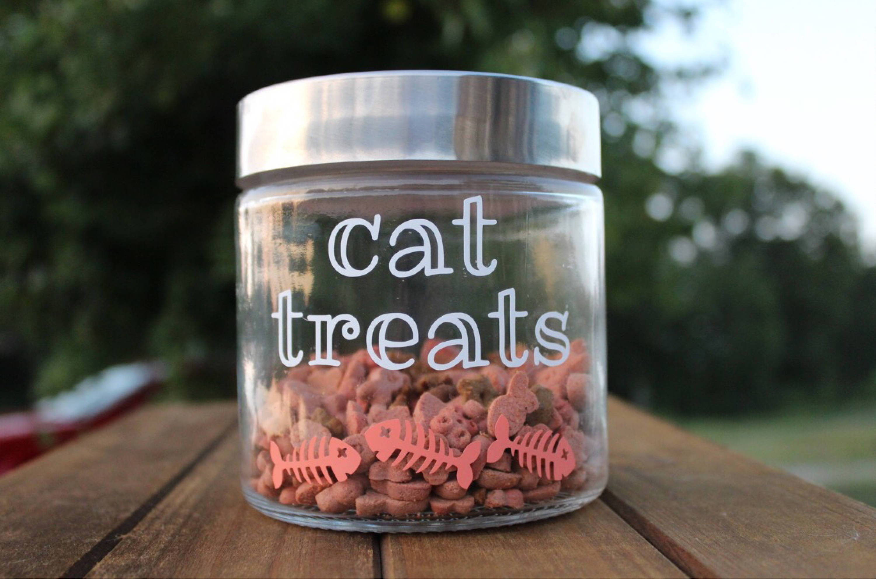 cat treats jar