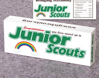 girl scout bridging invitation flyer instant download daisy scout christmas ornament