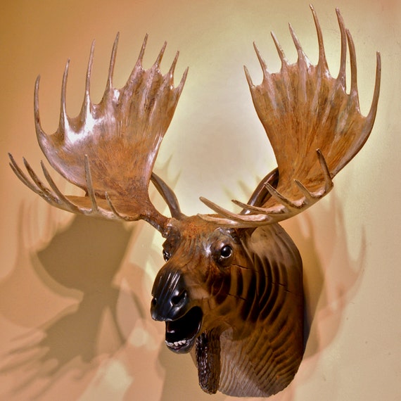 Antler Moose Head Wood Sculpture By Jason Tennant