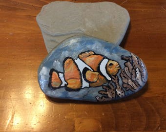 Clown fish