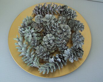 20 Natural Eastern White & Scotch Handpainted Pinecone Assortment Real Eco Craft Making Centerpiece Wreath Garland Swag Ornament Bowl Filler