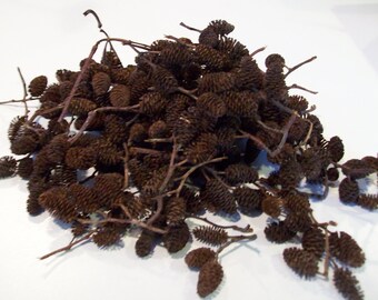 Alder Mini Pinecones DIY Supplies