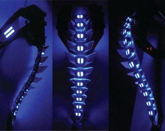 Deluxe Biomechanical Spinal Armor