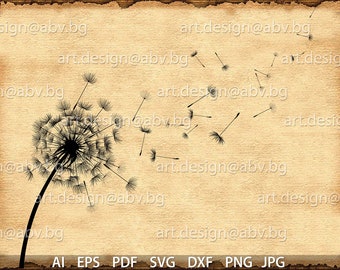 Vector Flower /Taraxacum/, dandelion, AI, PNG, pdf, eps, svg, dxf, jpg Download, Digital image, graphical, discount coupons