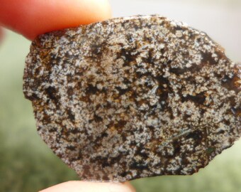 Horse Canyon Agate Preform Cabochon