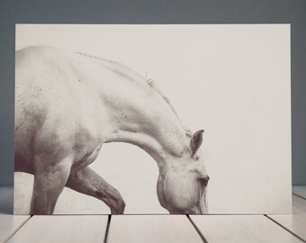 Sepia Horse Fine Art Photography | Black and White | Scandinavian Print | Minimalist Print | Horse Photography | Wall Art | Home Decor