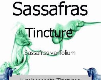 Sassafras Tincture - Sassafras varifolium