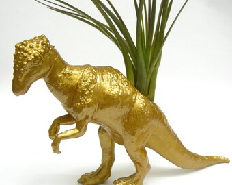 Gold Pachycephalosaurus Dinosaur Planter with Air Plant // Coworker Gift // For Her // For Him