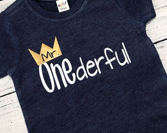 boys first birthday, mr onederful, first birthday shirt, mr onederful shirt, first birthday shirt boy, mr. onederful, boys first birthday