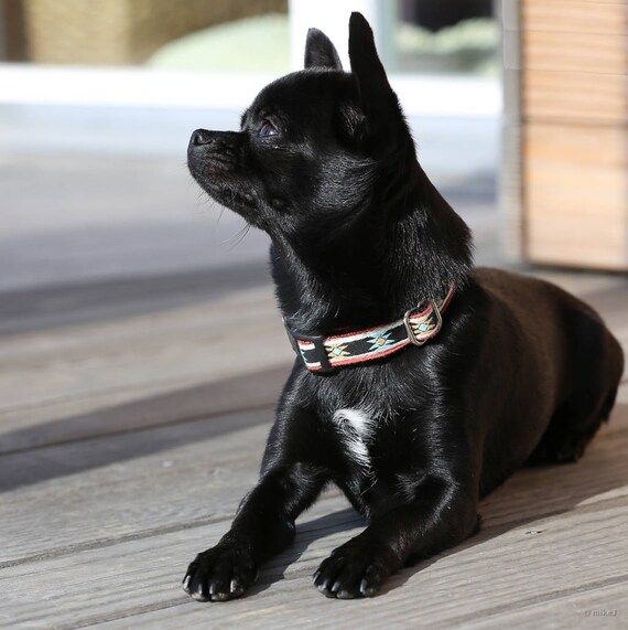 Dog collar leash Bo Tribal Aztec Navajo Native American