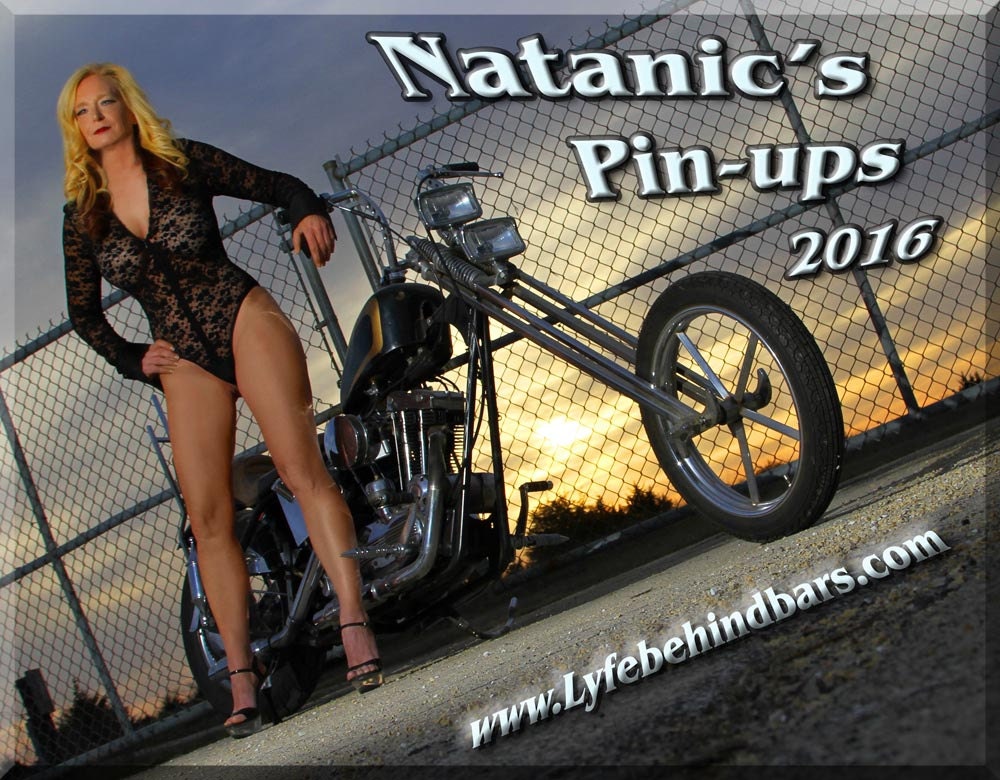 2016 Pin Up Calendar Featuring Retro Pin Up Models On Vintage