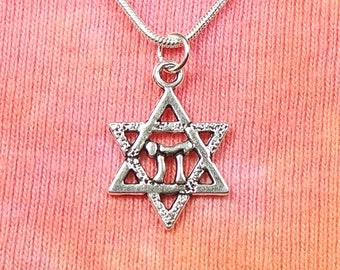 Chai in Star of David Necklace 16-36" Silver Chain Gift Boxed Ready To Ship Men or Women Jew Jewish Judaica Symbol Shabbat Judaica Judaism