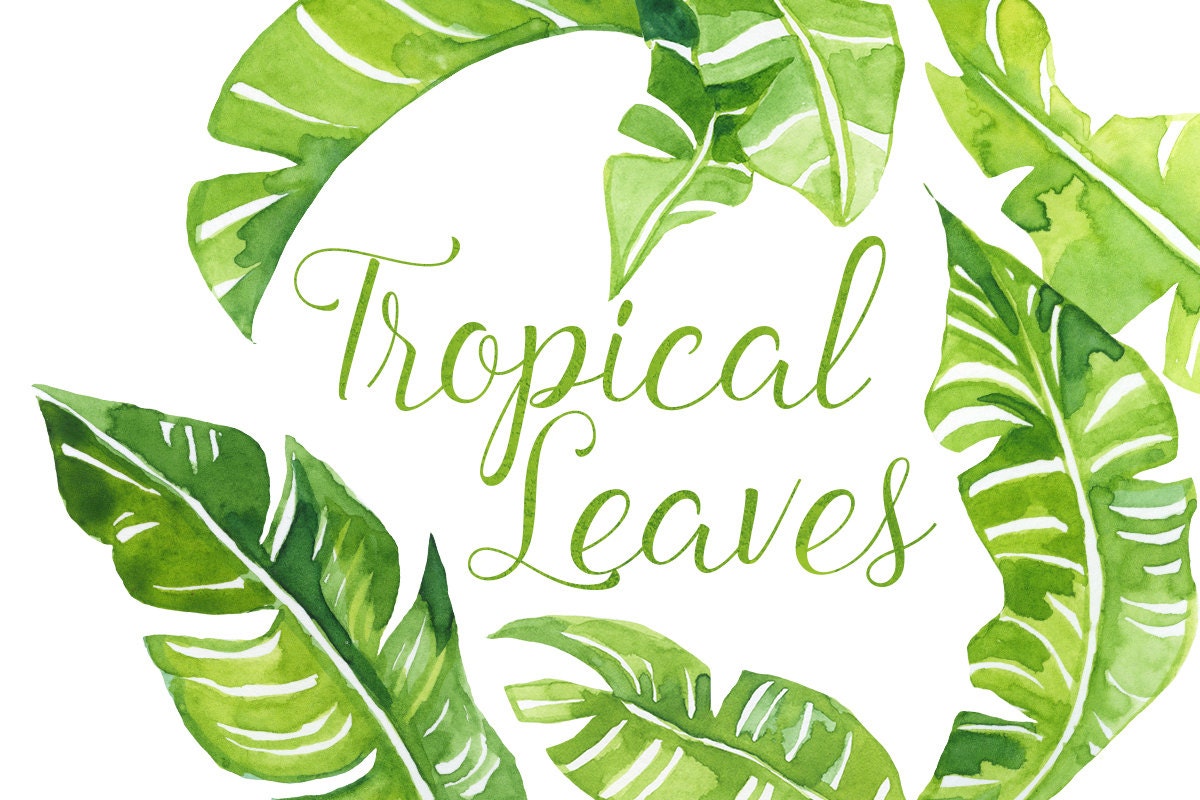 Banana Leaves Clip Art Clipart Library