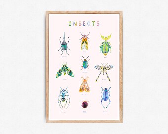 Insects