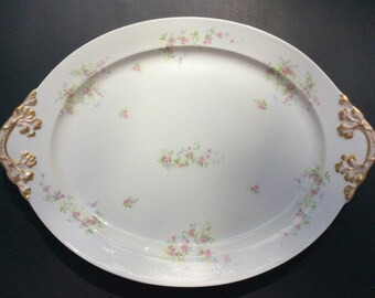 Limoges Serving Platter/ Hand Painted Serving Platter by Limoges