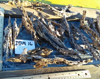 Desert Driftwood Lot of 12+ pieces, Cholla Wood, Aquarium, Air Plant, Branches, Terrarium, Craft Wood, Aquarium,Reptile,