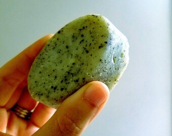 The Better Shampoo Bar
