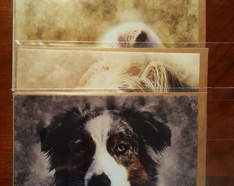Best Friend - Notecard Set