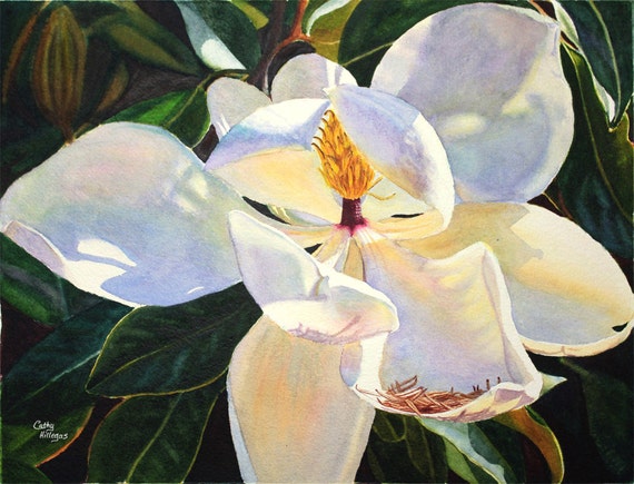 Magnolia Watercolor Painting Print by Cathy Hillegas 11x14