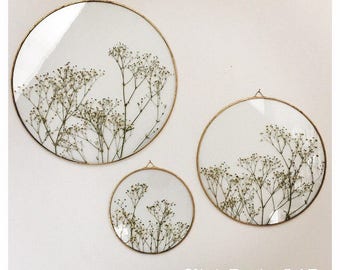 Glass frame LARGE size or SET of 3 glass sealed frame with natural Paniculate, wedding decoration, modern home decor, minimal glass display.