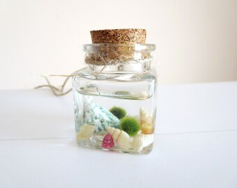 sale Marimo Moss Ball Aquarium-Miniature marimo moss ball Terrarium - Marimo Terrarium - Marimo Moss necklace -lucky Orb Marimo Moss Ball