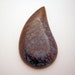 Rare Kaleidoscope Dinosaur Bone Cabochon