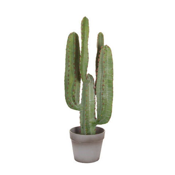 Realistic Fake Cactus Decor/ Cactus Party Decor/ Wild at One