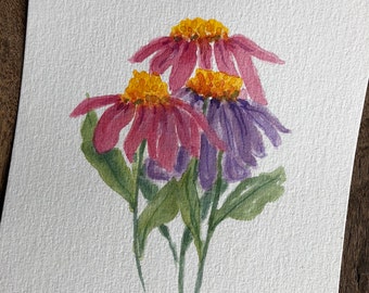 An Original Watercolor, Cone-Flowers