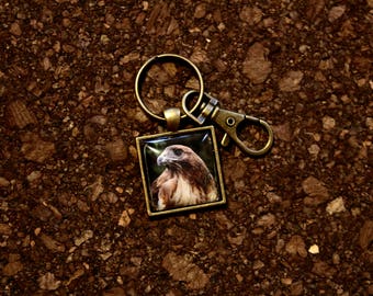 Red Tailed Hawk "Ladyhawk" Key Fob