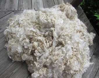 Wensleydale Locks Natural ivory wool fleece - 2 oz