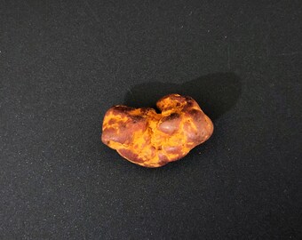 Coprolite (Fossilized Dino Poop)
