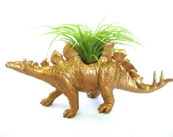 Gold Stegosaurus Dinosaur Planter with Air Plant // for her // for him // coworker gift // office plant