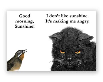 I Don't Like Sunshine Magnet