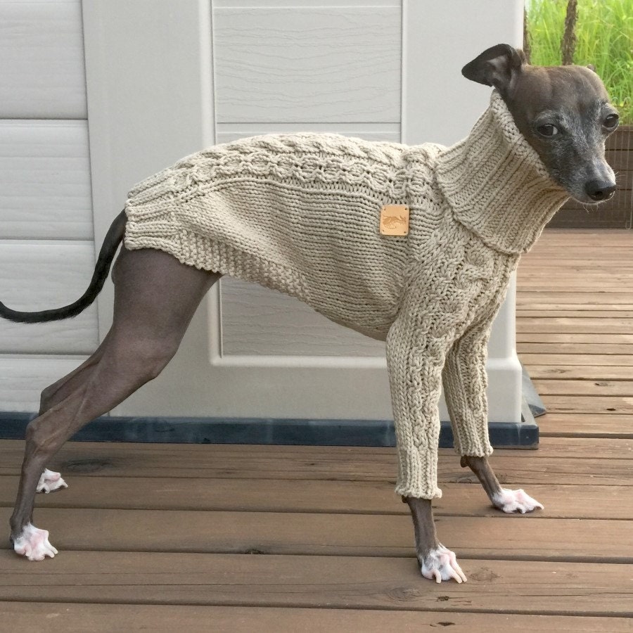 Huge Sweater Puppies