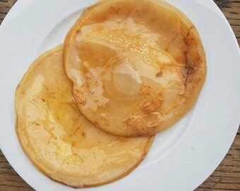 Kombucha SCOBY w/ Starter Tea, Fermented Sweet Tea, Made In Montana, Probiotic Drink, Kombucba Home Brew Kit, Organic Kombucha, Health Drink