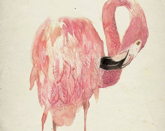 Flamingo Print - Flamingo Art - Pink Flamingo Print - Flamingo Giclee Print