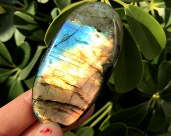 Labradorite Medium-Large Tumbled Semi Precious Palm Stone#116A
