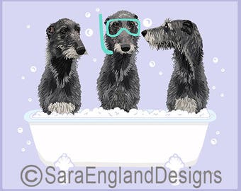 Spa Day - Scottish Deerhound
