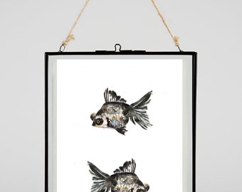 Black Moor Fish Art Print / Painting Watercolour, Wall Art, Decor, Painting Illustration