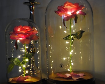 Plug in Enchanted Rose Nightlight