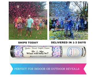 SALE! SHIPS TODAY! | Gender Reveal Confetti Cannon | Gender Reveal Confetti Popper | Confetti Cannon | Gender Reveal Ideas| Gender Reveal |
