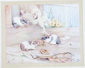 Coloured Mice Illustration by ED