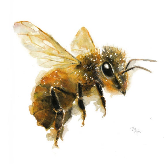 Honey Bee painting Art Print. Nature Illustration. Honey