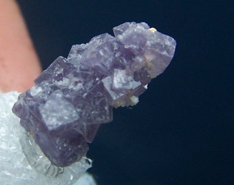Purple Fluorite Colorado crystal cluster cube USA mineral specimen - perky box mount - rare cripple creek on quartz - display box tj41j