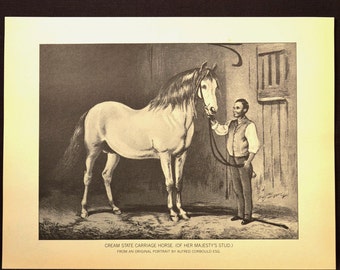 Horse Wall Art Horse Print Horse Wall Decor Book Page Black White