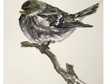 Bird - original watercolor painting
