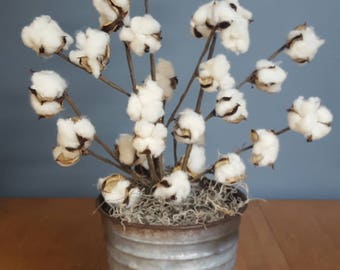 Cotton Arrangement in Rustic Tin, Farmhouse, Fall Decor