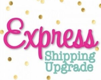 Expedited Shipping - Add On